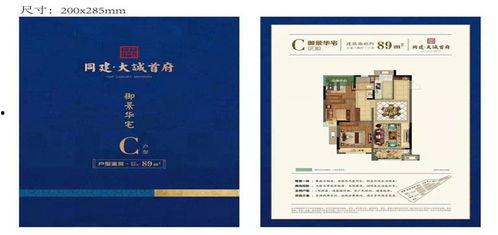 大城最新爆料新闻,揭秘惊人内幕，真相令人震惊！